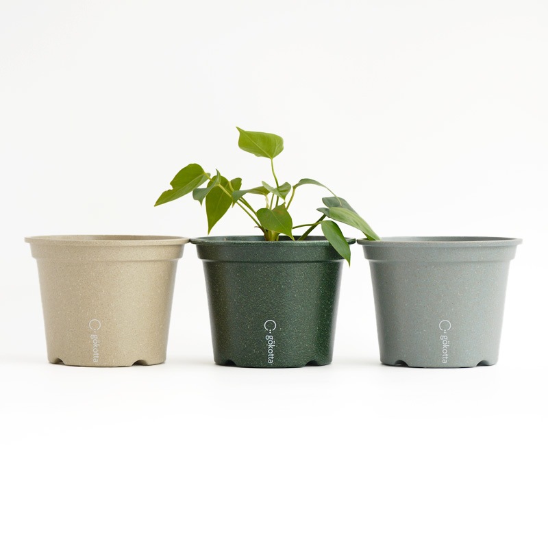 gokotta�������ݥåȡ�ȭ13.5��������������åȡ��ե��쥹�ȥ��꡼����ʬ����