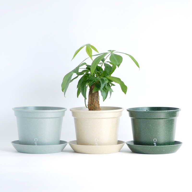 gokotta�������ݥåȡ�ȭ16.5��������������åȡ�����ɥۥ磻�ȡ���ʬ����