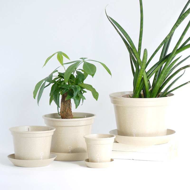 gokotta�������ݥåȡ�ȭ16.5��������������åȡ�����ɥۥ磻�ȡ���ʬ����