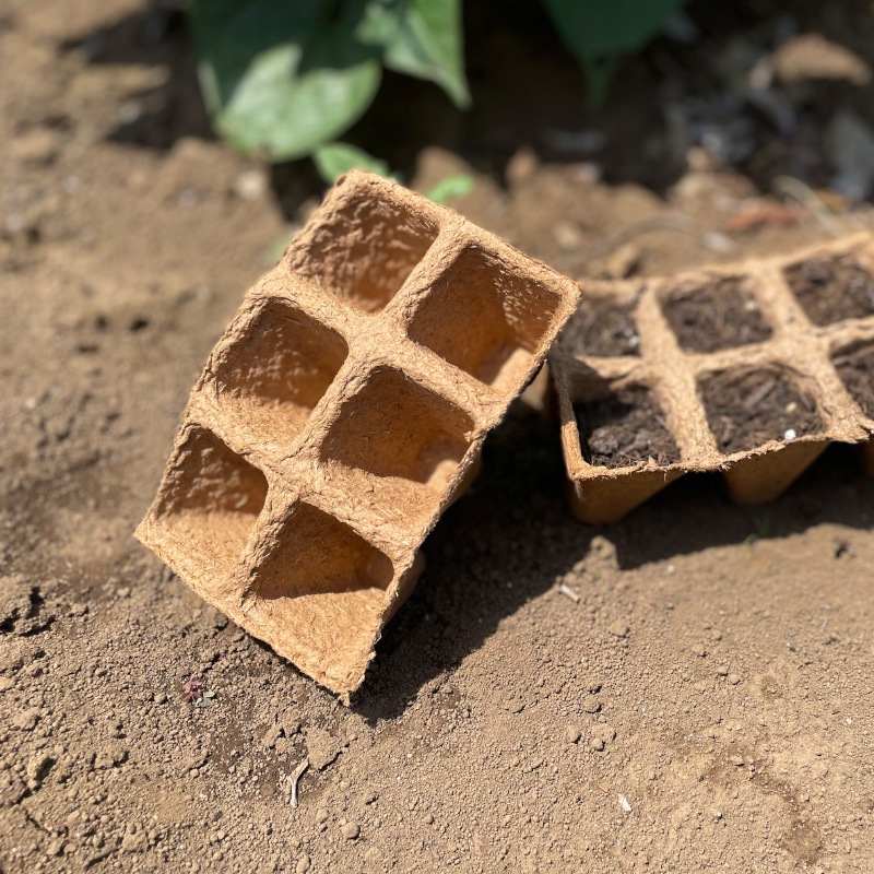 Τޤ޿եСݥåȡȥ졼125cm)3祻åȡʬȭ