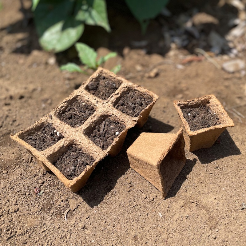 Τޤ޿եСݥåȡȥ졼125cm)3祻åȡʬȭ