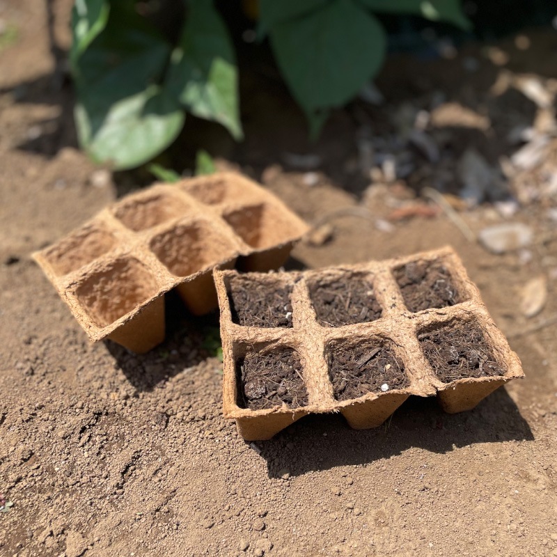 Τޤ޿եСݥåȡȥ졼125cm)3祻åȡʬȭ