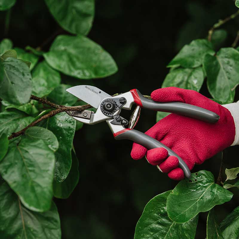 K&Sǥ˥ФߡϤѥץեåʥ롡20mm