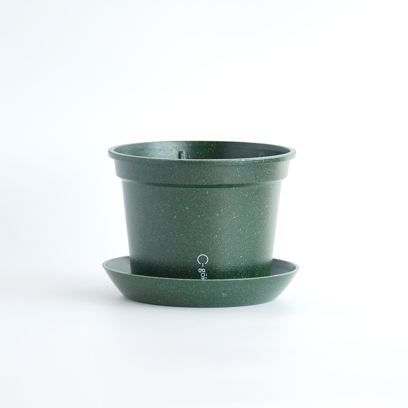 gokotta�������ݥåȡ�ȭ16.5��������������åȡ��ե��쥹�ȥ��꡼����ʬ����