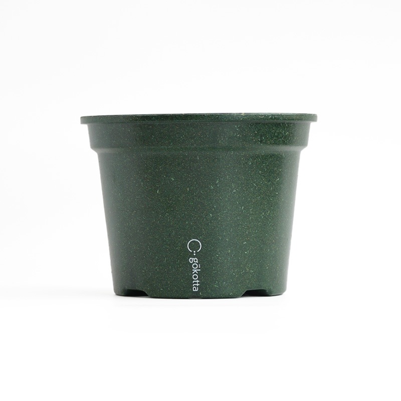 gokotta�������ݥåȡ�ȭ16.5��������������åȡ��ե��쥹�ȥ��꡼����ʬ����