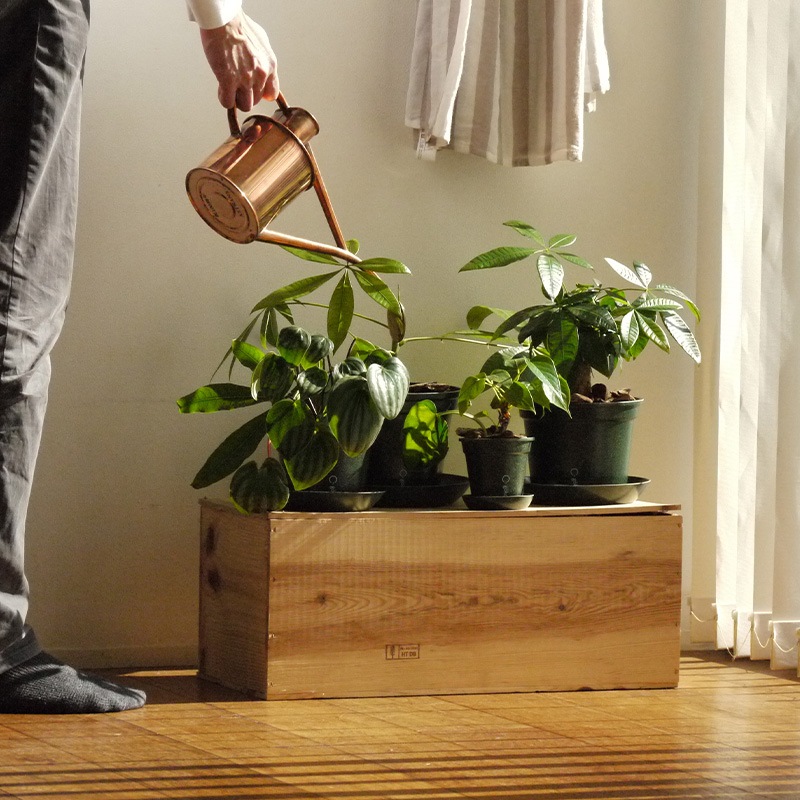 gokotta�������ݥåȡ�ȭ16.5��������������åȡ��ե��쥹�ȥ��꡼����ʬ����