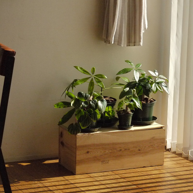 gokotta�������ݥåȡ�ȭ16.5��������������åȡ��ե��쥹�ȥ��꡼����ʬ����