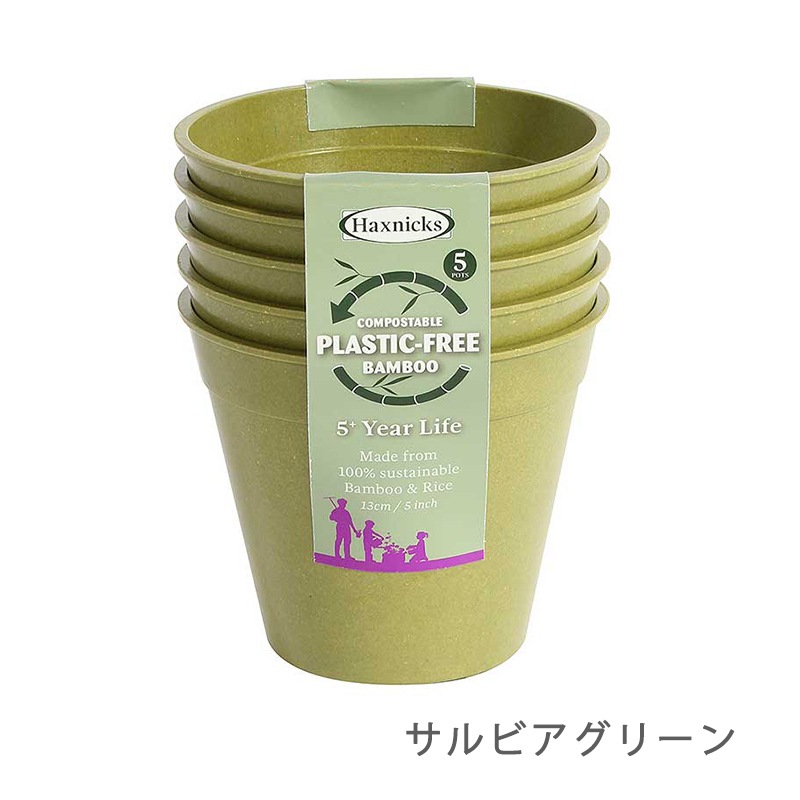 ڿʡȭ13cm5ĥåȡХ֡ݥåȡӥ꡼