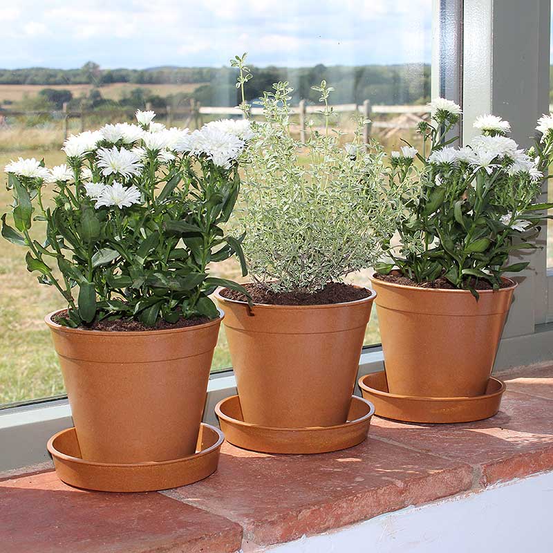 ڿʡȭ13cm5ĥåȡХ֡ݥåȡӥ꡼