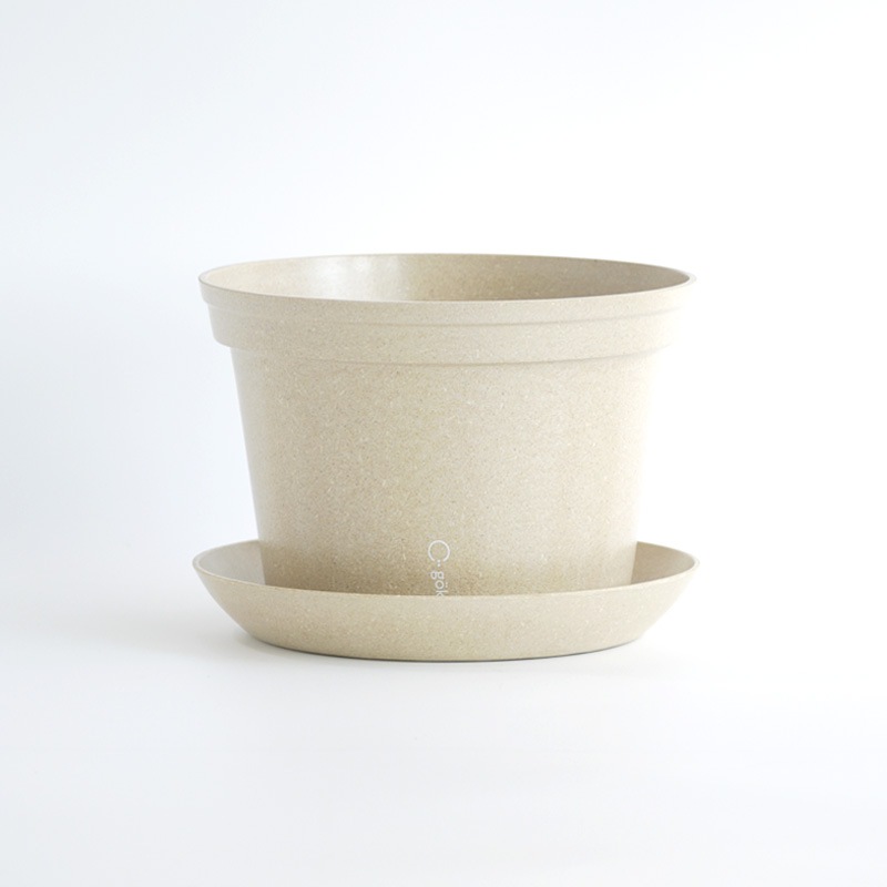 gokotta�������ݥåȡ�ȭ20��������������åȡ�����ɥۥ磻�ȡ���ʬ����