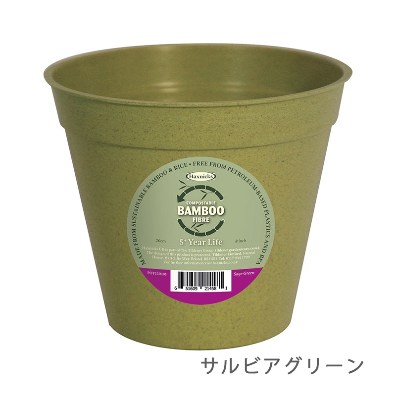 ڿʡȭ20cmХ֡ݥåȡӥ꡼