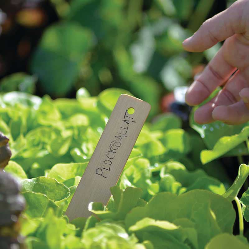 ��������ѥ�٥롡13cm��12��