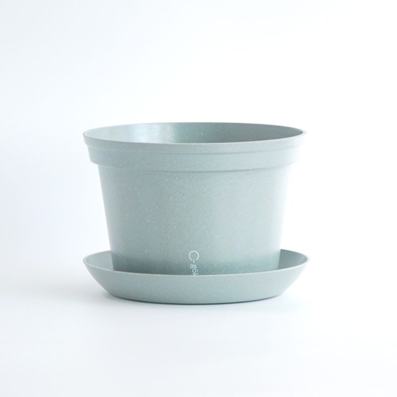 gokotta�������ݥåȡ�ȭ20��������������åȡ����ȡ���֥롼����ʬ����