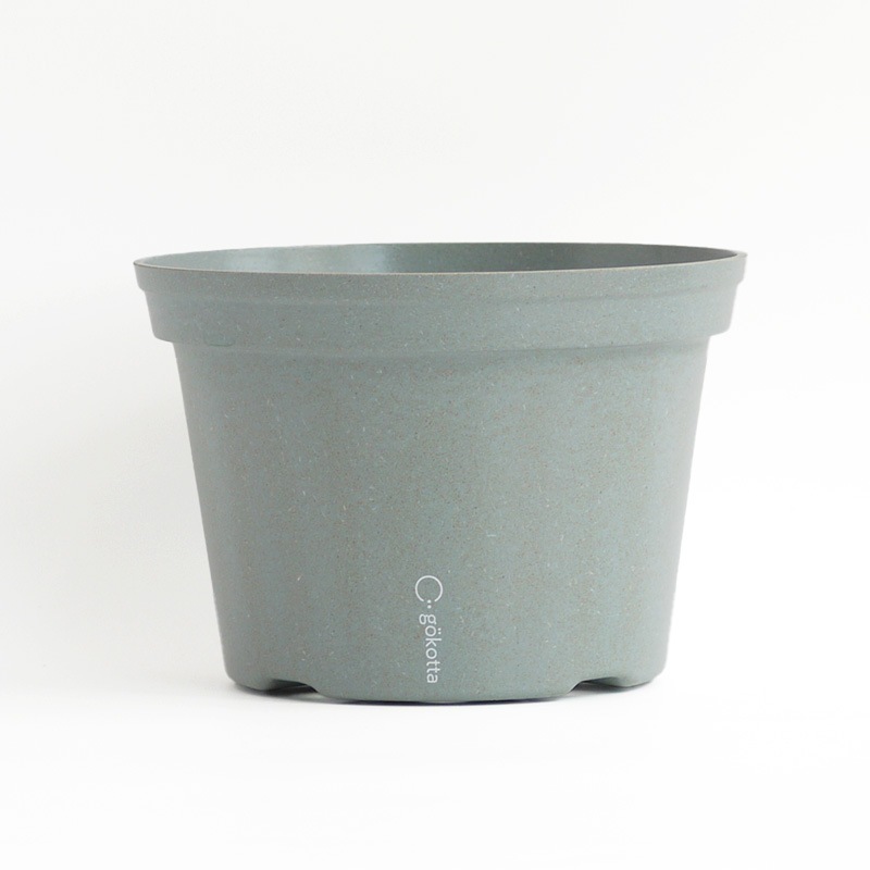 gokotta�������ݥåȡ�ȭ20��������������åȡ����ȡ���֥롼����ʬ����