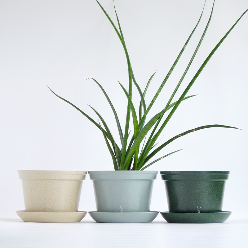 gokotta�������ݥåȡ�ȭ20��������������åȡ����ȡ���֥롼����ʬ����