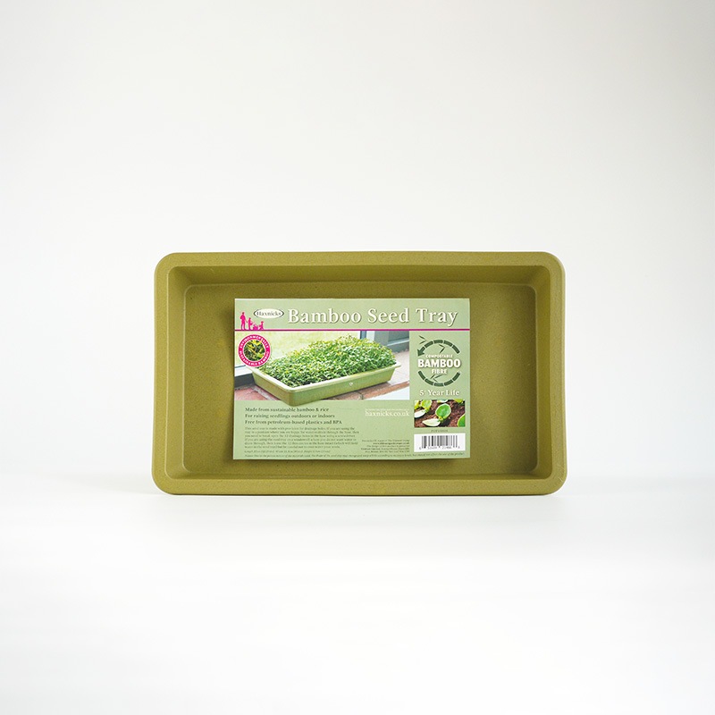 ȯȥ쥤Х֡ȥ졼ӥ꡼