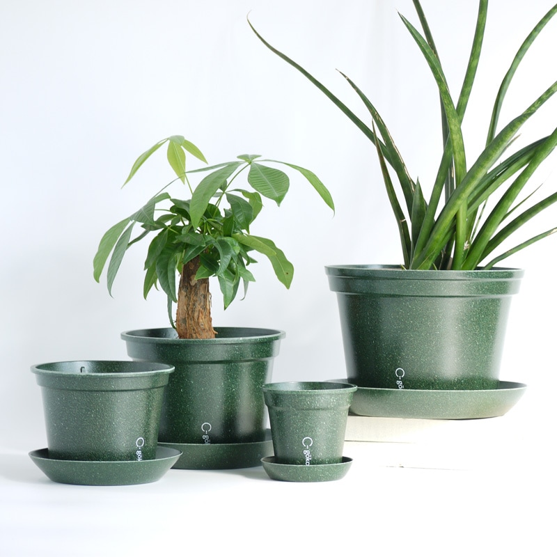 gokotta�������ݥåȡ�ȭ20��������������åȡ��ե��쥹�ȥ��꡼����ʬ����