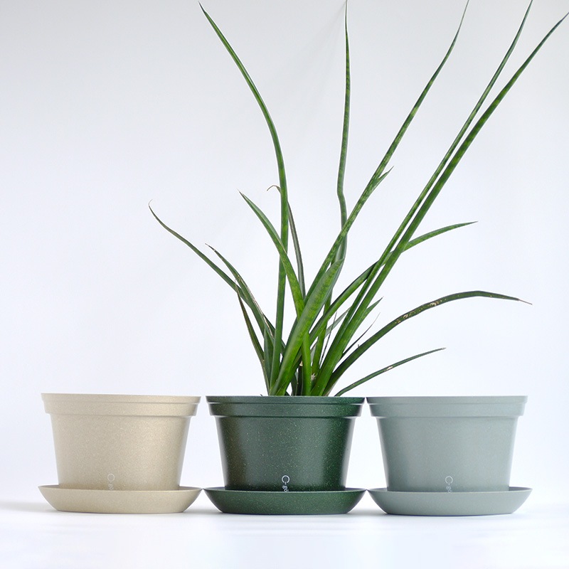 gokotta�������ݥåȡ�ȭ20��������������åȡ��ե��쥹�ȥ��꡼����ʬ����