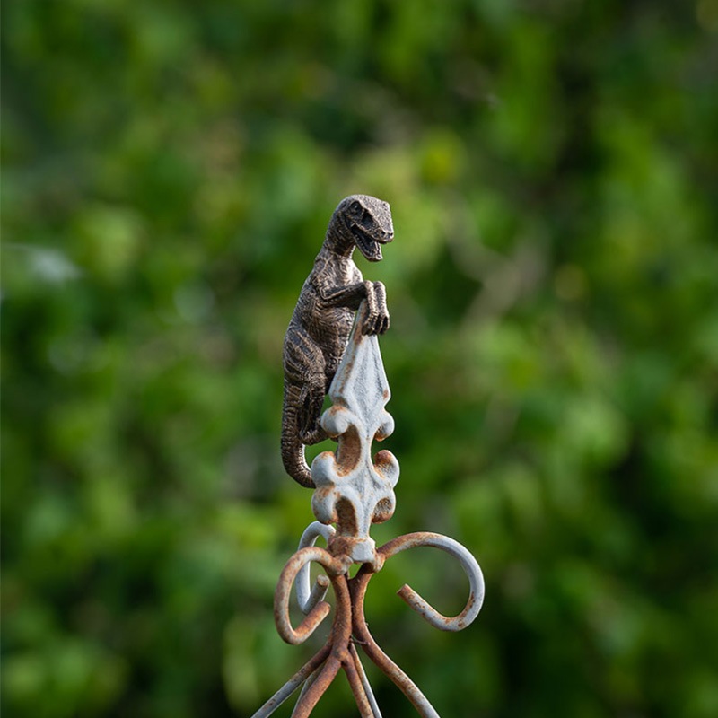 ȭ֥ץȥ롡εǥ󥢥꡼