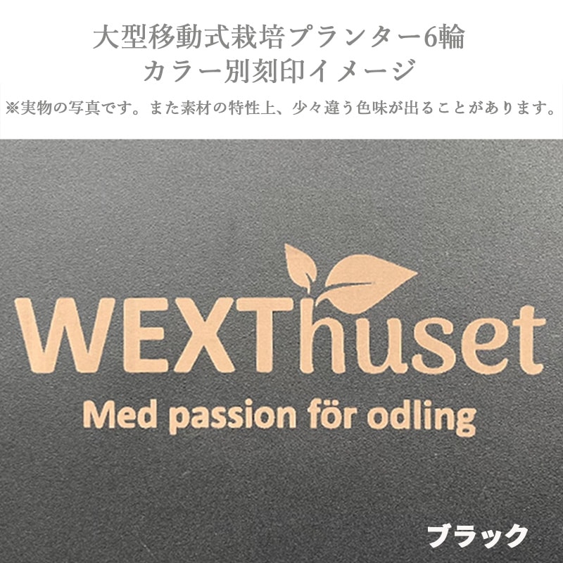 �緿��ư�����ݥץ�󥿡� 6�� �졼������������ӥ�