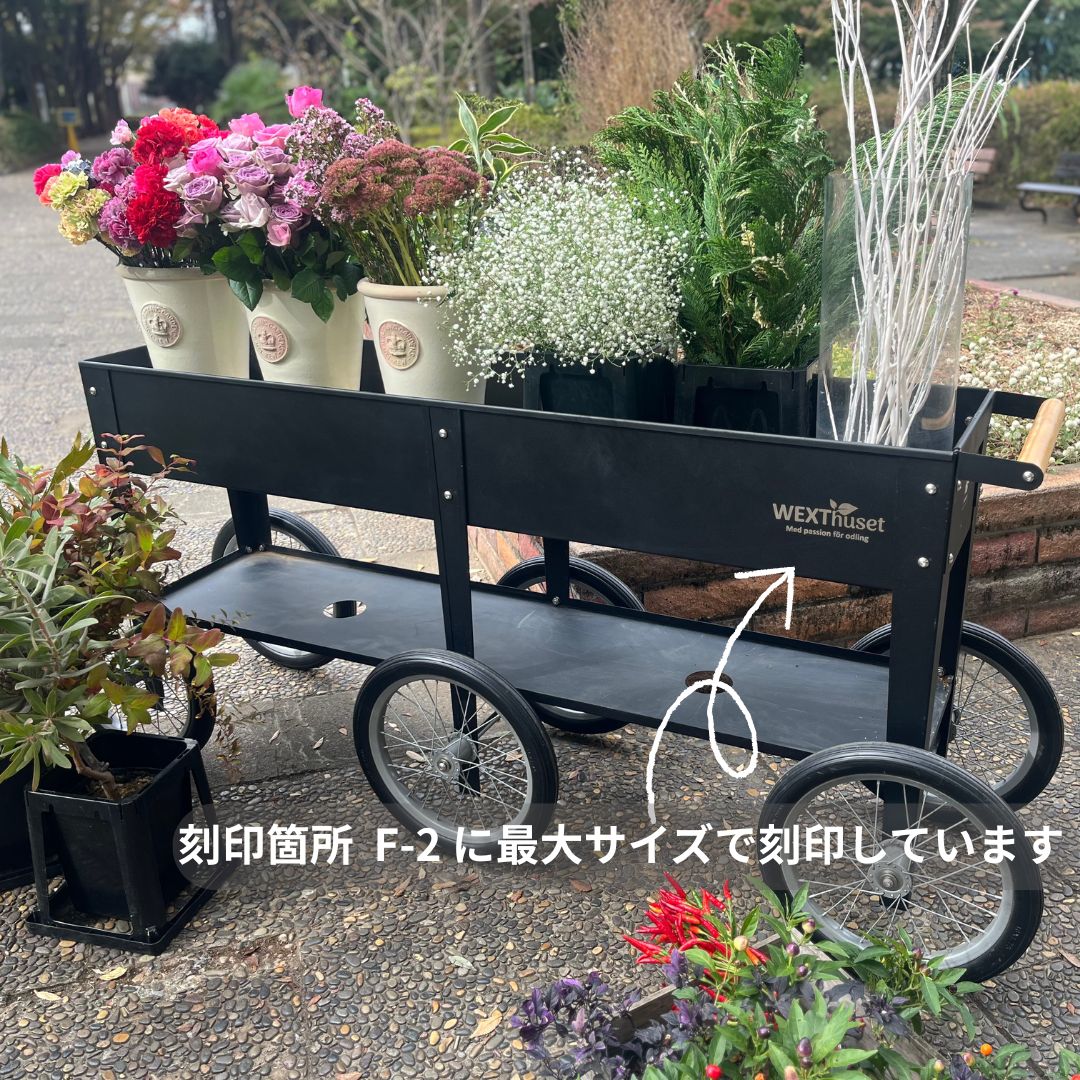 �緿��ư�����ݥץ�󥿡� 6�� �졼������������ӥ�