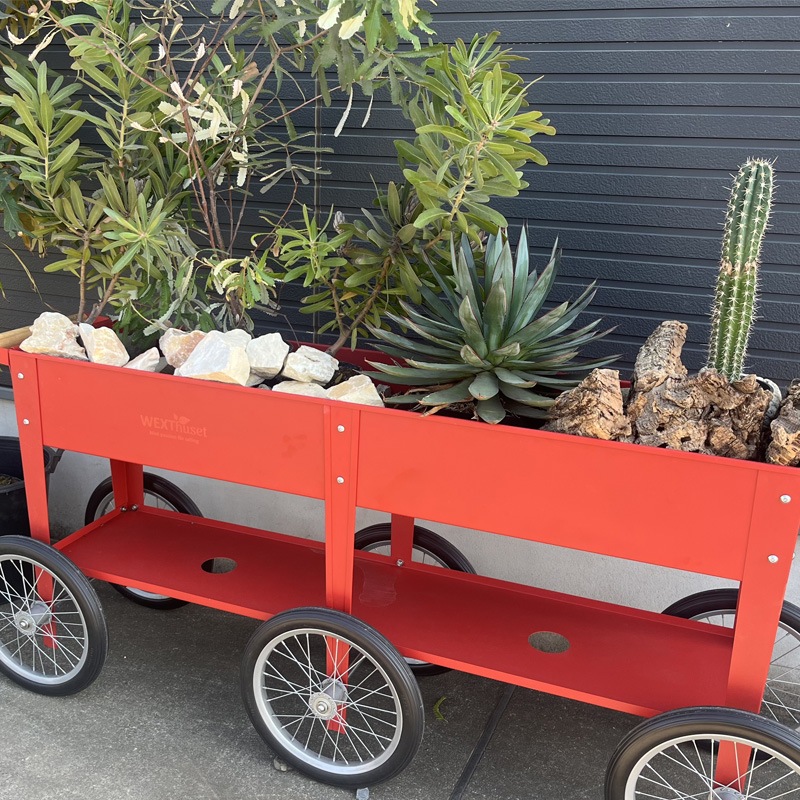 �緿��ư�����ݥץ�󥿡� 6�� �졼������������ӥ�