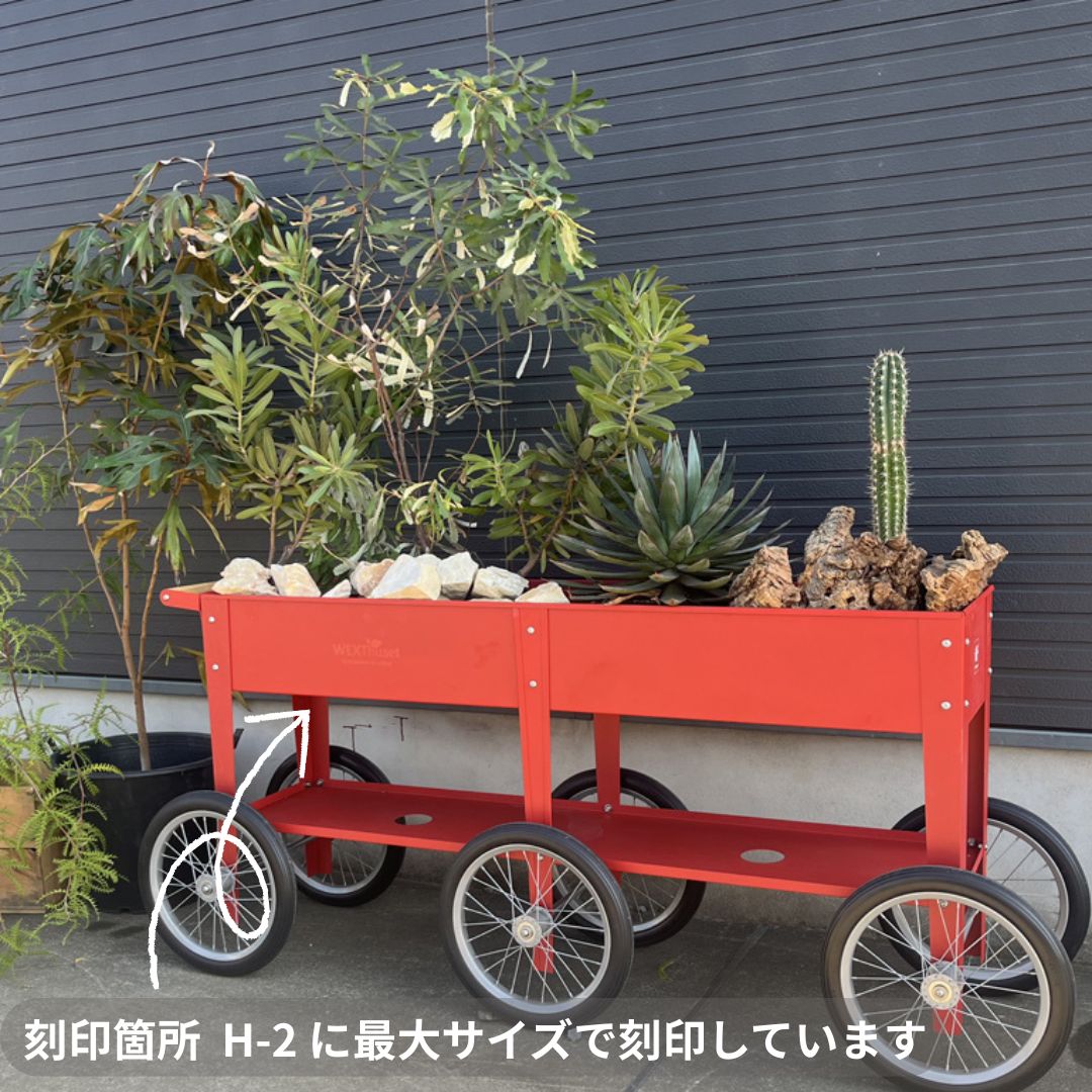 �緿��ư�����ݥץ�󥿡� 6�� �졼������������ӥ�