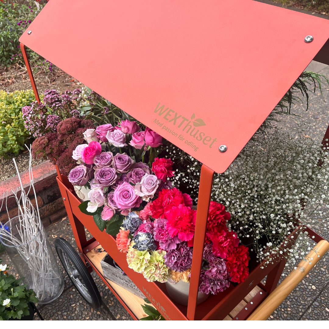 �����դ��ޥ륷���若�� ���� �졼������������ӥ�