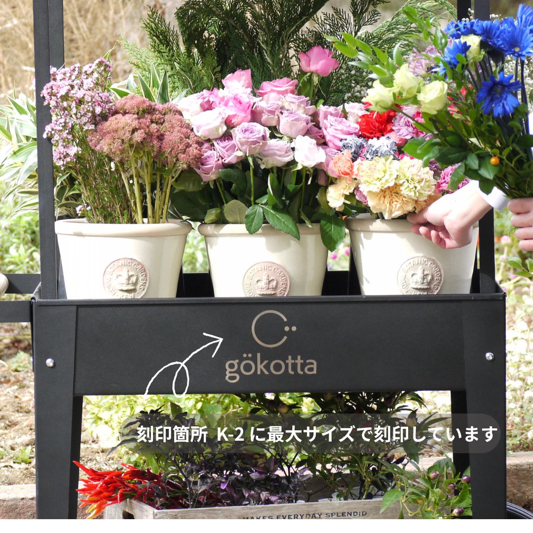 �����դ��ޥ륷���若�� ���� �졼������������ӥ�