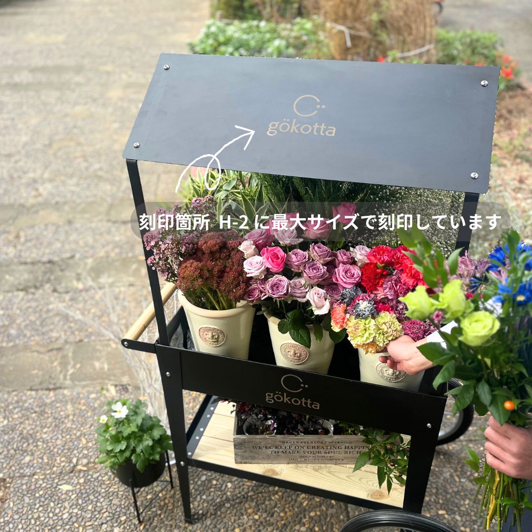 �����դ��ޥ륷���若�� ���� �졼������������ӥ�