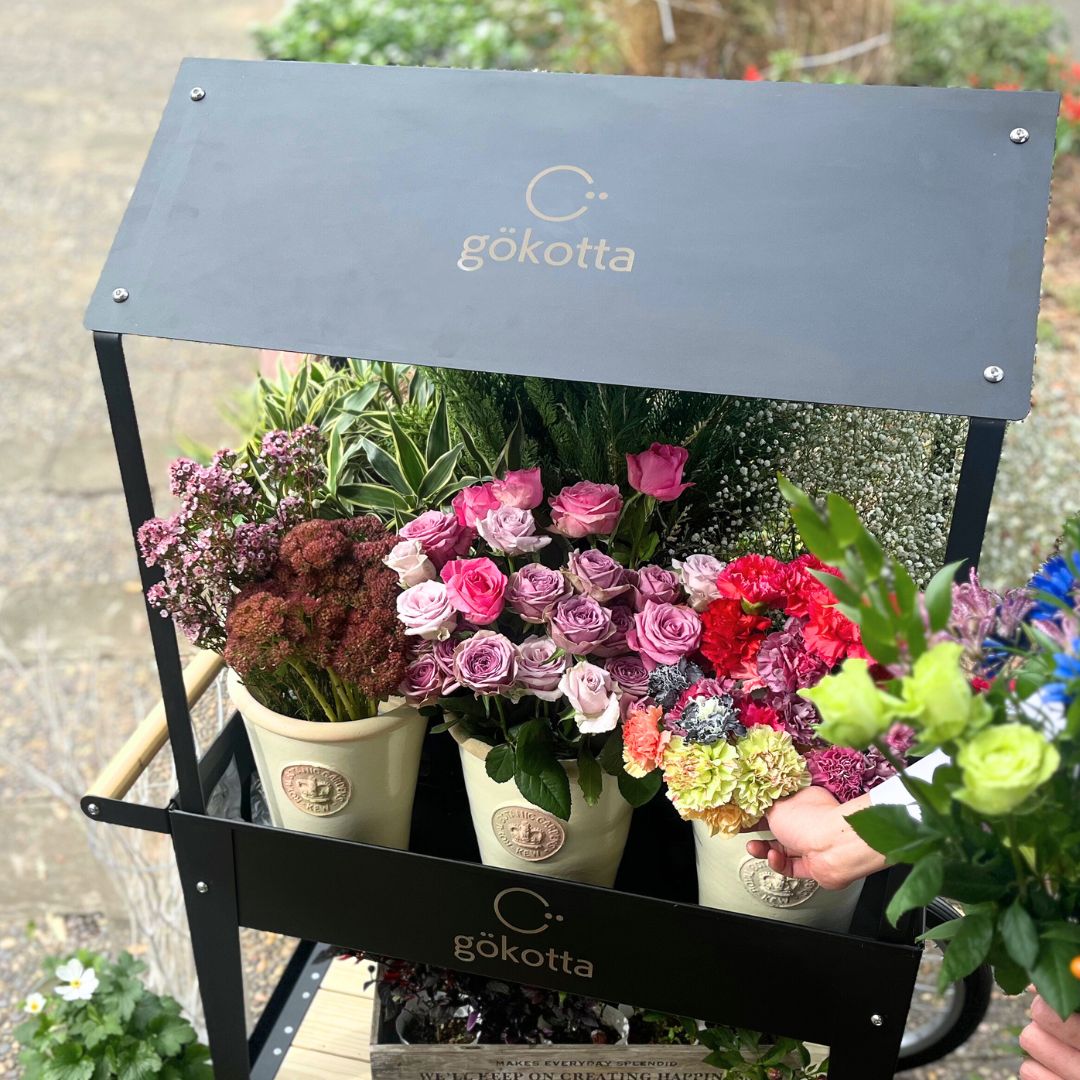 �����դ��ޥ륷���若�� ���� �졼������������ӥ�