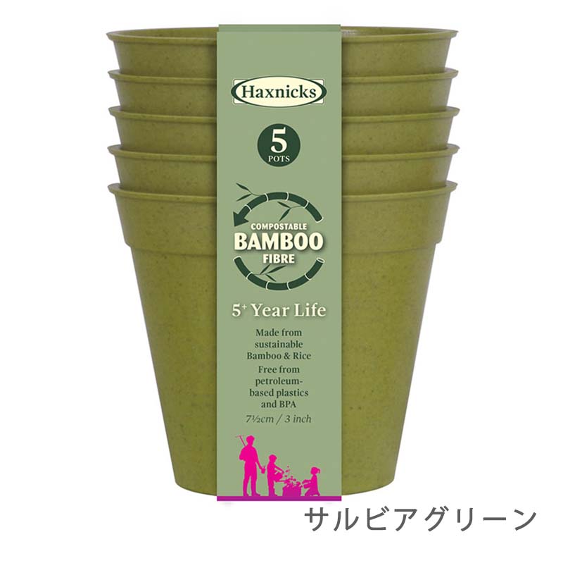 ڿʡȭ7.5cm5ĥåȡХ֡ݥåȡӥ꡼