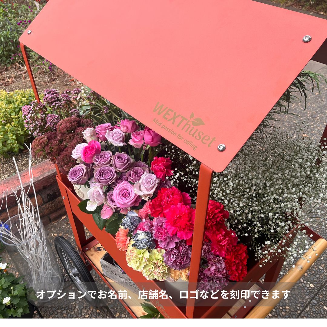 �����դ��ޥ륷���若�󡡥ȥ����꡼������ȡ���