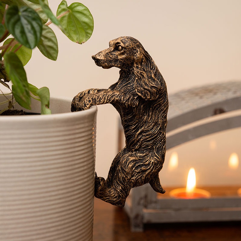 ȭ֥åѥ˥롡ǥ󥢥꡼