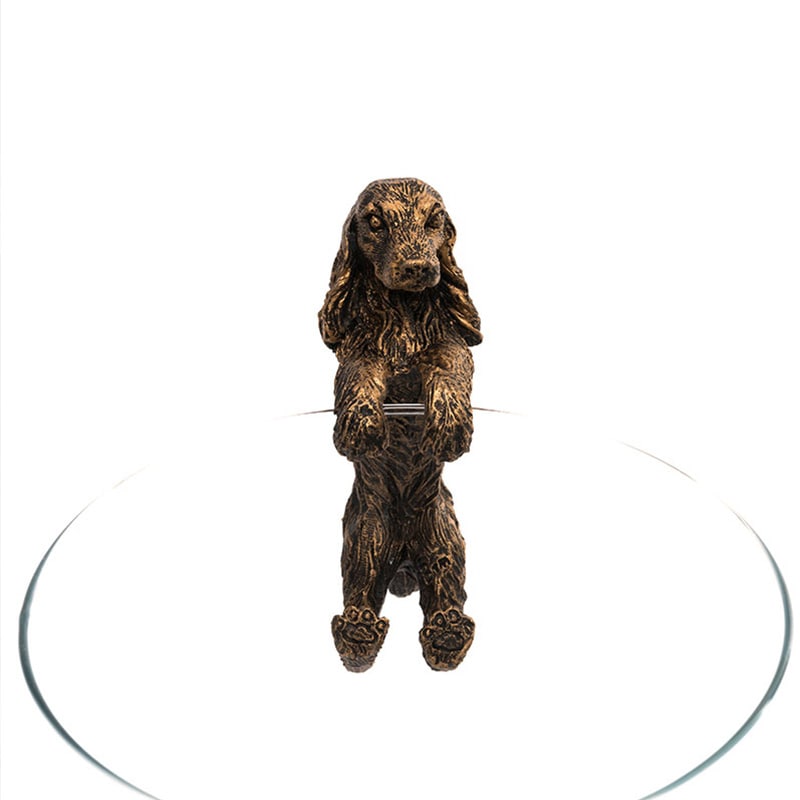 ȭ֥åѥ˥롡ǥ󥢥꡼