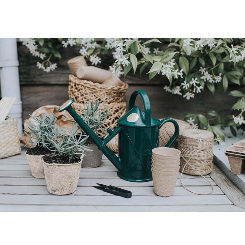 50%OFF�ڥ����ȥ�åȡ�HAWS���ץ饹���å����礦����1L������ѥ��ȡ����꡼��