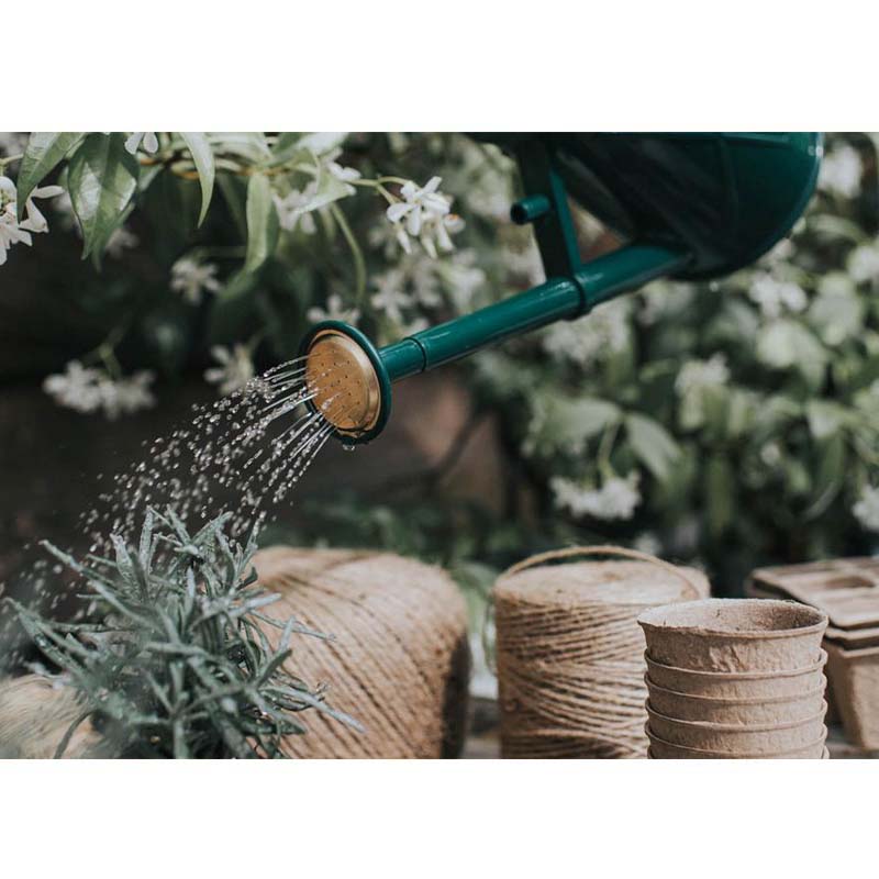 50%OFF�ڥ����ȥ�åȡ�HAWS���ץ饹���å����礦����1L������ѥ��ȡ����꡼��