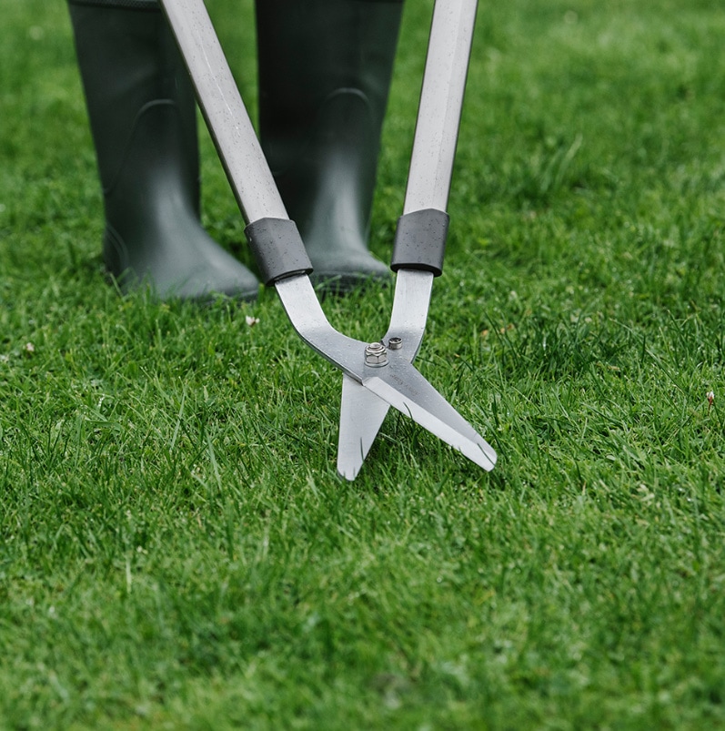 Lawn Shears