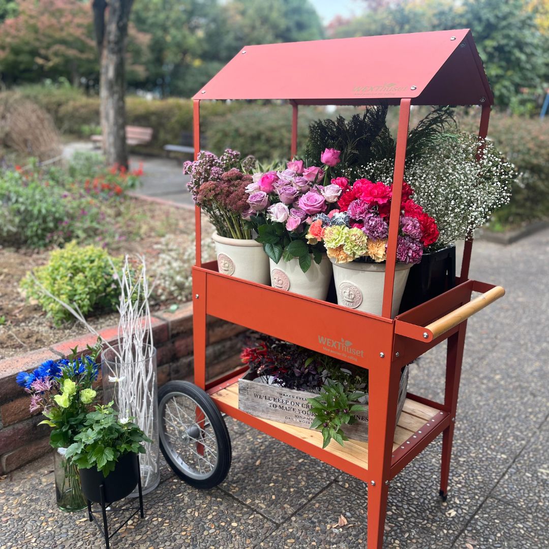 �����դ��ޥ륷���若�󡡥ȥ����꡼�������åɥ�����