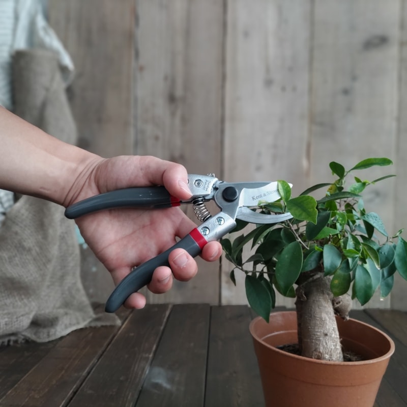 K&S�������ѥ����ǥ˥�����Ф��ߡ�20mm