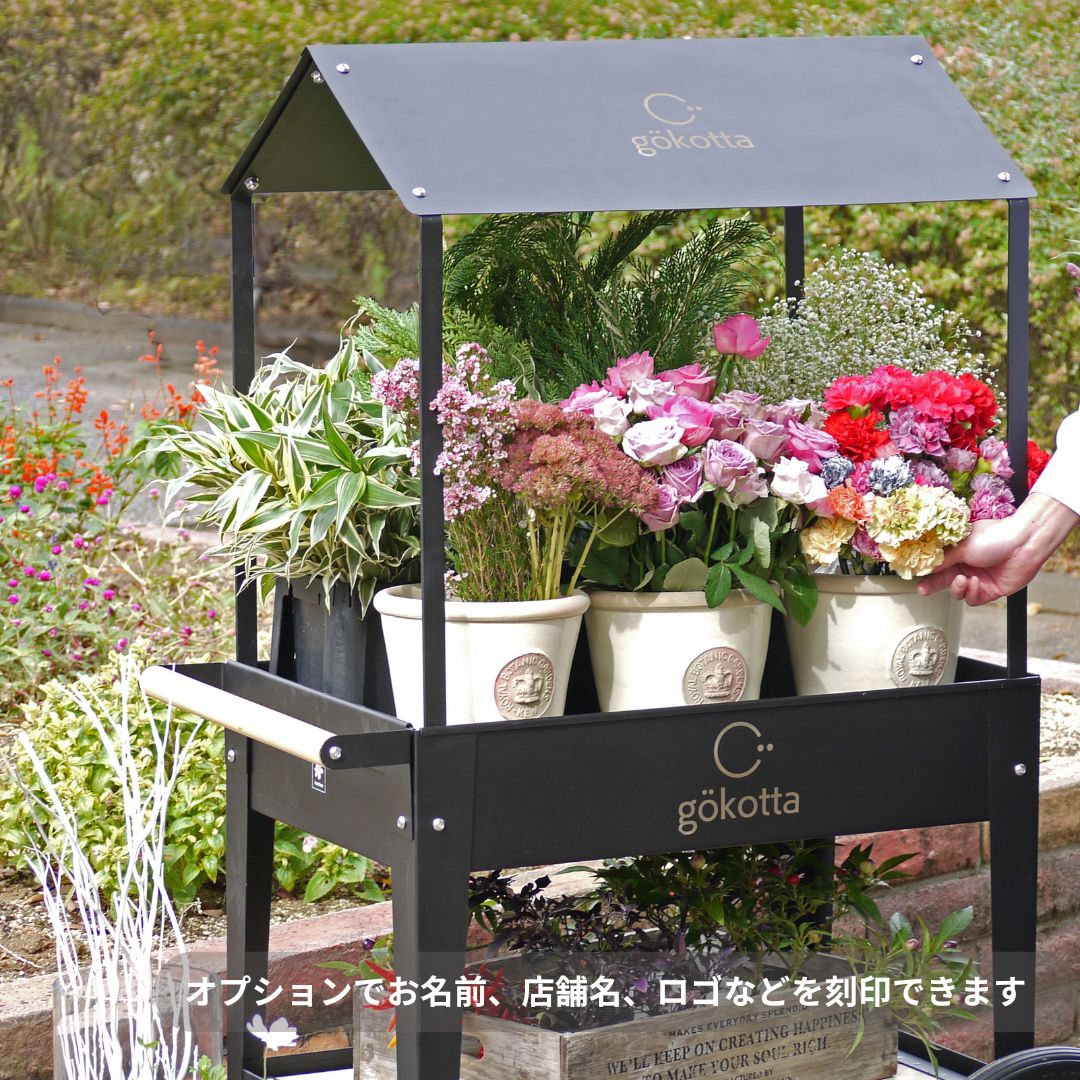 �����դ��ޥ륷���若�󡡥ȥ����꡼������֥�å�