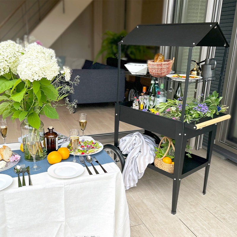 դޥ륷若󡡥ȥ꡼֥å