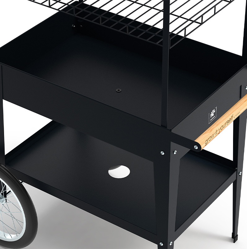 դޥ륷若󡡥ȥ꡼֥å