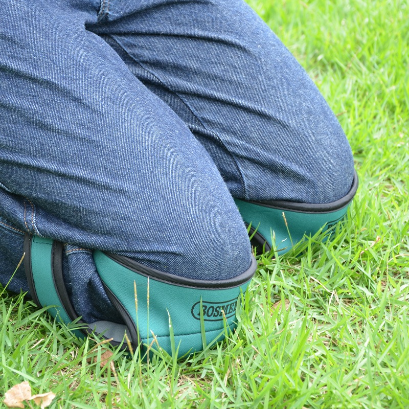 �����ǥ˥��ѤҤ��ѥåɡ����꡼��