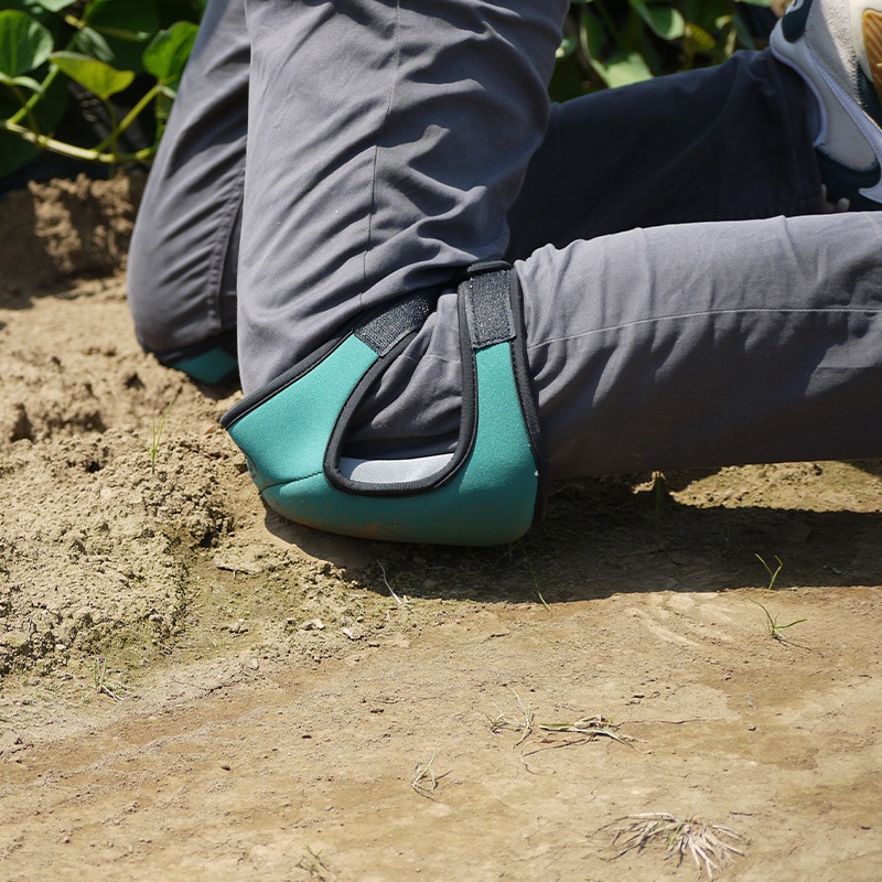 �����ǥ˥��ѤҤ��ѥåɡ����꡼��