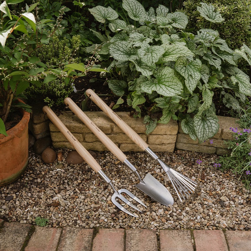 K&S���ߥǥ����६���ǥ�ե�����