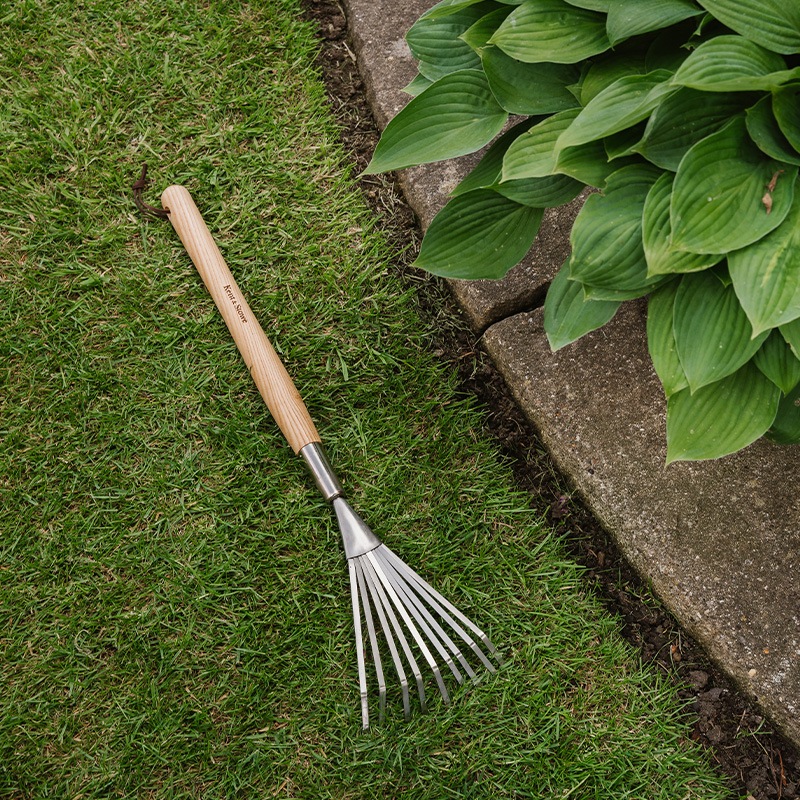 K&S���ߥǥ����६���ǥ�졼��