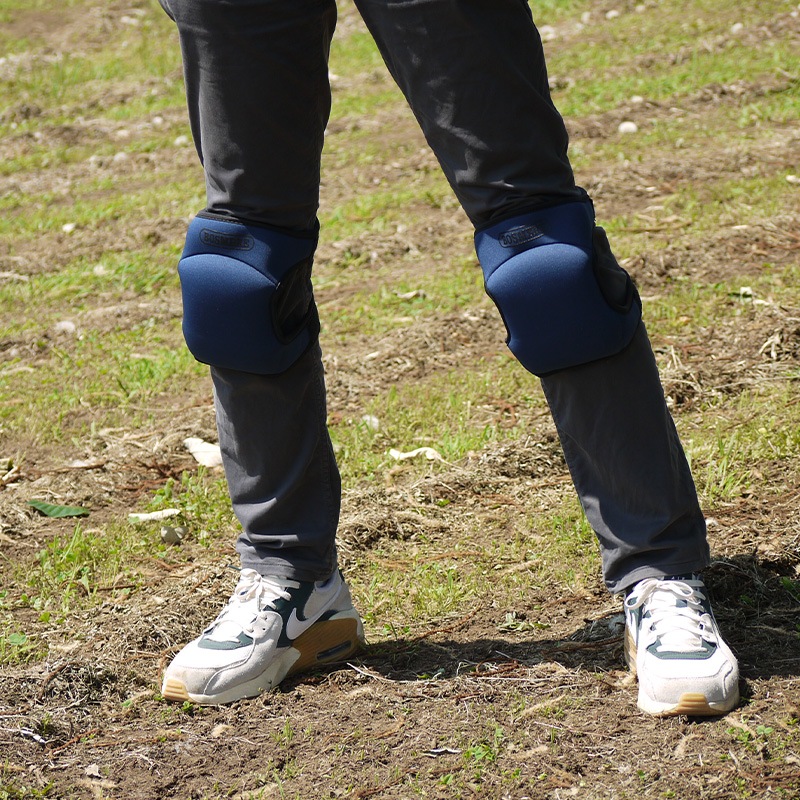 �����ǥ˥��ѤҤ��ѥåɡ��ͥ��ӡ���