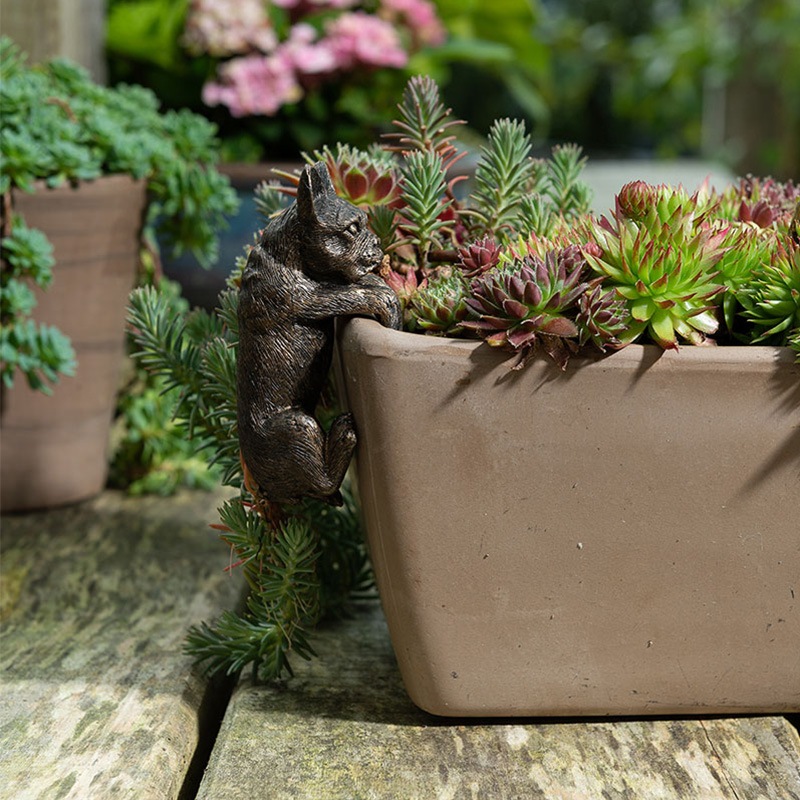 ȭ֥ե֥ɥåǥ󥢥꡼