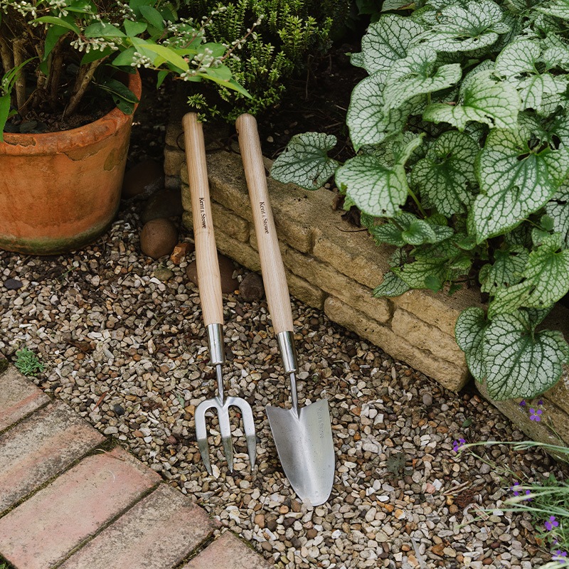 K&S���ߥǥ����६���ǥ󥷥�٥�